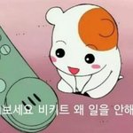[방탄소년단] 빅힡 