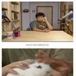 [추억팔<b>아요</b>] 레전드 토끼사건