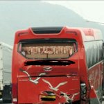 부산 동* 유치원 학습차량사고 은폐사건