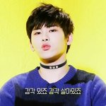 [인피니트] <b>호야</b> + 초커 = 숨멎!
