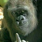 [방탄소년단] 쉬어야되니까 이해는함 근데