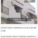 [추억팔<b>아요</b>] 시력 6.0 클라스