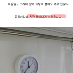 [즐펀] 맞춤법의 신세계  (욕나온다 ㅋㅋ) 