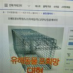 [고양이] 집나간 고양이 5일만에 찾았어요!!! 