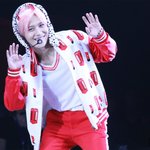핑크머리 탬