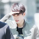 [세븐틴] 원우 옷에있는 그림