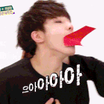 [세븐틴] <b>사스</b>가 부승관