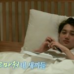 [EXO] 내<b>새끼들</b>