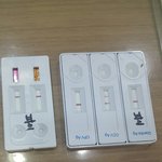 충무로 애견샵 너무 화가나요 제발좀 봐주세요