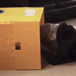 [인피니트] 저기..슾들아