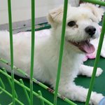 [함안길<b>천사</b>] 한없이 밝았던 아이가.. 웃음을 잃었습니다.