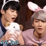 [팬픽] 백1민) <b>롯월</b> 떡밥 떴다ㅋㅋㅋㅋㅋ