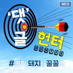 [댓글헌터] 흔한 돼지의 꿀~<b>꿀맛</b>  <댓글헌터 5>