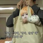 [세븐틴] 호시아가에 이은 우지아가