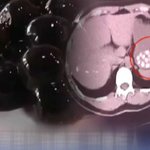 [EXO] 세훈아 중국에서 절대 버블티 마시지마라