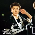 [EXO] 세훈아 <b>헤디</b>랑 싸웠냐 돈갚아라