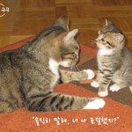 [펀펀펀] 여기서도 <b>표절</b>논란 <풋풉ㅋㅋ>