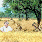 [세븐틴] 아기<b>기린</b> 권순영ㅠㅠㅠㅠㅠㅠㅠ