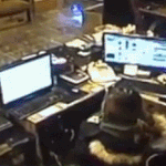 [즐펀] <b>PC</b>방 소닉녀 