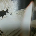 [방탄소년단] 이거 앨범 원래이래 ?