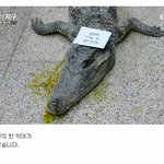 [즐펀] 재미로 <b>인해</b> 죽어가는 동물들 .. 
