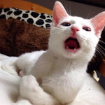 [댓글부탁해] 첫 <b>KTX</b>탔는데 아직도 설레서 못자겠다.