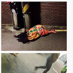 주말 <b>할로</b>윈데이 시체 코스프레녀의 사건 전말