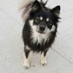 [함안길천사] 눈 맞춰 주세요...사랑 해주세요..