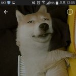 신박한데 약간 짜증나는 자가진단테스트