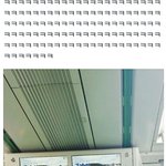 [팬픽] 배꽁) 아앀ㅋㅋㅋㅋㅋ짹짹이 도는뎈ㅋㅋㅋㅋㅋㅋ