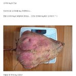[추억팔<b>아요</b>] 인터넷으로 고구마 6kg을 시켰더니