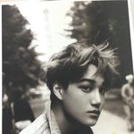 [EXO] <b>내새</b>낑 카이