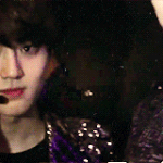 [EXO] 수호까지마 이것들아