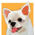 [꽁이프로젝트]<b>진행</b>중진행중4