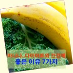 바나나...다이어트와 건강에 좋은 이유 7가지