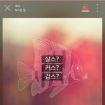살스 검스 커스 몰랐는데