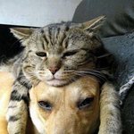 [동성] 고백했어요 - 두번째