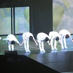 [인피니트] 나 근데 좀 걱정된다ㅠㅠㅠ