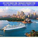 보람<b>상조</b> 크루즈 여행상품?