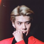 [EXO] <b>우성</b>알파