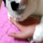 [용배꾸르밍] <b>대두</b>김용배의 다들 잘 계신가요?