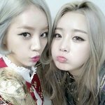 [댓글부탁해] 내패딩 이정도면 <b>사치</b>급임?