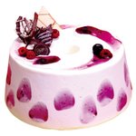 <b>폭신</b><b>폭신</b>한 시폰 케이크