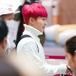 [시우민] 시우민으로 <b>신호등</b>(슈호등)을 만들잣 