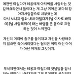 로리타 컨셉 또찾음