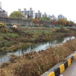 [스트레스] 한적한 역에서 놀다옴!(사진 유)