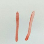 시바 이틴트 두개 존똑임;;
