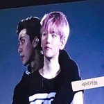 [팬픽] <b>셰</b>뱩)오늘도 떡밥