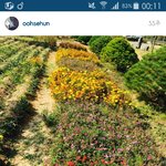 [EXO] 백현이 인별보니까 작년투표때 생각난다