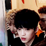 [세븐틴] 판에 승철이 움짤 올렸을 때 <b>반응</b>!